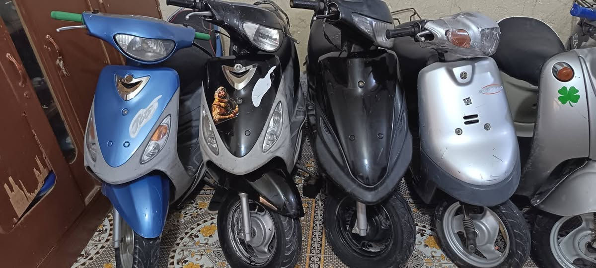 اللهم صلِّ على محمد وآل محمد 

السلام عليكم  شباب

ماكسات  50 بلاد جاهزات سلف

 كهربايات كلها شغاله شلعه ومعدل 

ماكس عدله  550

ماكسات منغولي 550

ماكسات  قجمات 500

مصريه كلاسك كريمي 450 وصل الحاويه وياها 

مصريه كلاسك رصاصي  350

بتره نضيفه  350

عنواني الناصريه مركز

رقمي وتساب

***********

الشراي يتصل او يراسلني ويدلل

بيهن مجال حك الجيه
