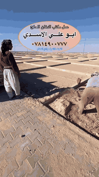 عمل الدفان الحاج امير الشيخ مهدي الاسدي
لبناء و ترميم القبور و المقابر و السراديب و طبع الصور على المرمر و عمل المسقفات و المقرنص في مقبرة وادي السلام النجف الاشرف
 للاستفسار و التواصل ***********
