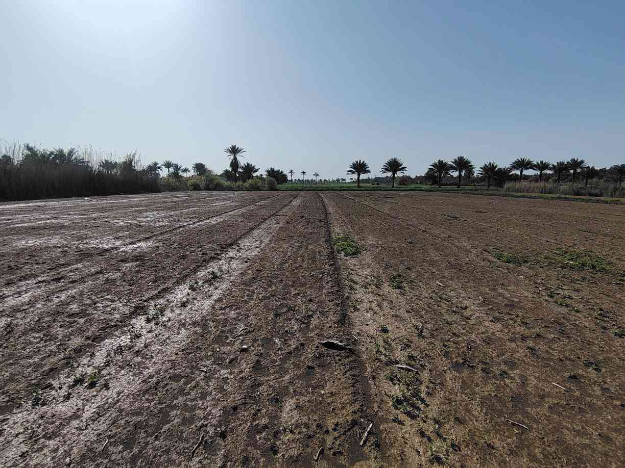 للبيع ارض زراعيه 5دونم ماء سقي خير من لله شتاء صيف معه (دار سكن )مدرسه قريبه عليه 200متر  يوجد مولد حي  تبعد عن الشارع العام 300متر تقريبا ثاني قطعه... ارض جيده جدا.... المكان بابل.. جبله..  الهزيزه  .....للاستفسار لاتصال على الرقم 
... ***********...
