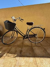 بايسكل • حجم 27 • كربلاء