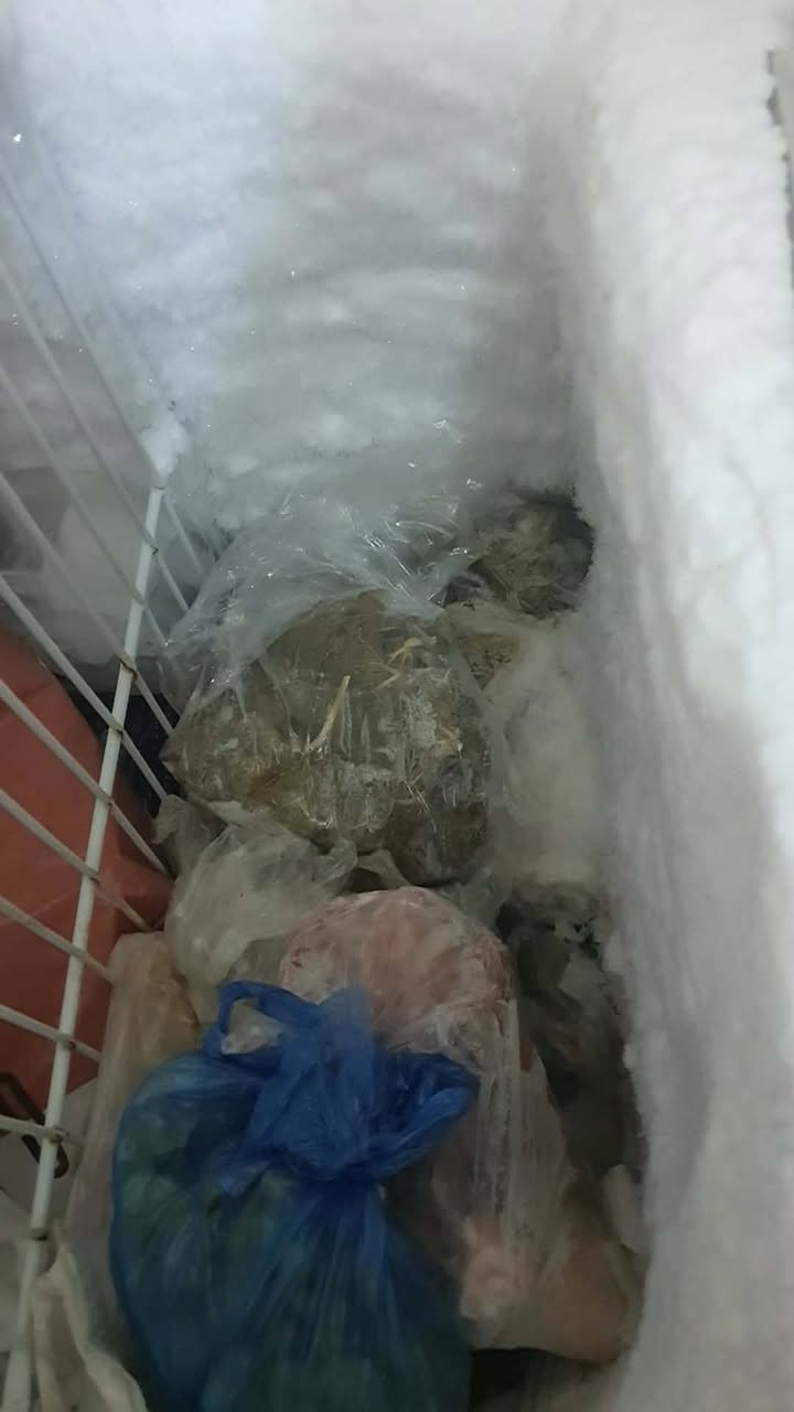 للبيع 
مجمده سعر 175
مكان دركزليه


**إذا كنت صاحب هذا الإعلان وتريد حذفه لأي سبب، رجاءا أرسل رسالة إلى الدعم الفني**