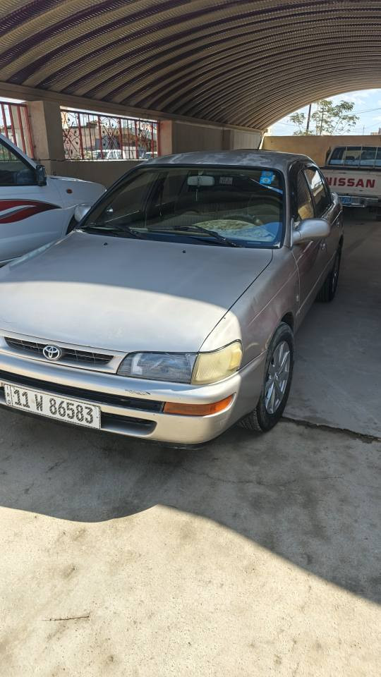 كورولا لون سلفري رقم بغداد صاحبه الشرعي بكركوك تحويل وكاله بكيفك .... 
***********
*********** كركوك, العراق
