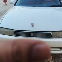 كرسته • ٢٠٢٩ • رقم نكليزي