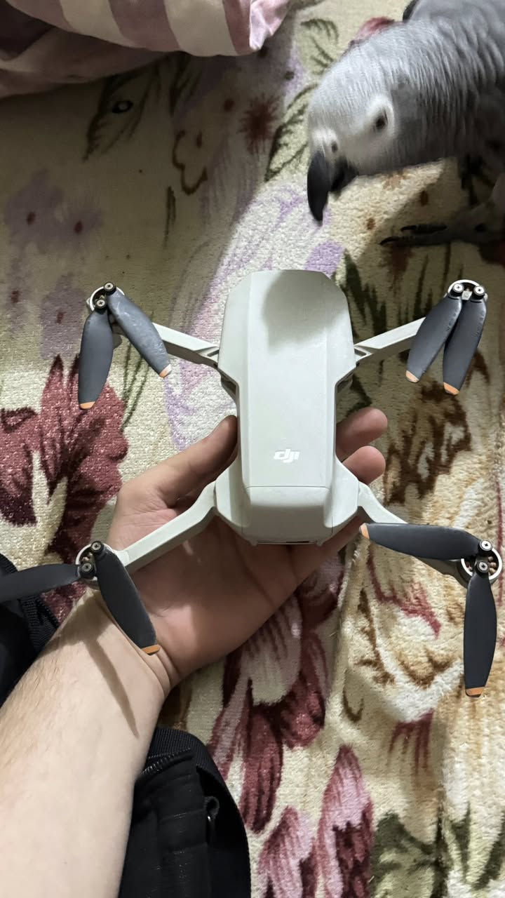 مني 2 لبيع
تواصل واتساب لستفسار  ***********
