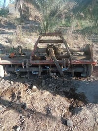 رئاسه انكليزي للبيع  07725117786