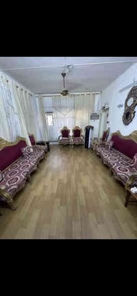 تخم ملكي للبيع  سعر400 وبي مجال بغداد حي القاهره 07721366657