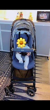 عربانة طفل • كجديدة • شهداء البياع