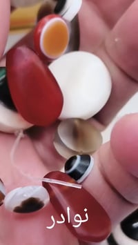 شلعة • بدون مفرد