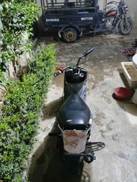 ماكس منغولي • بوشه 55 • اغراض كامله