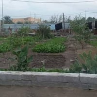 بصره المدينه الفتحيه • بيت وحديقه • ٤ غرف