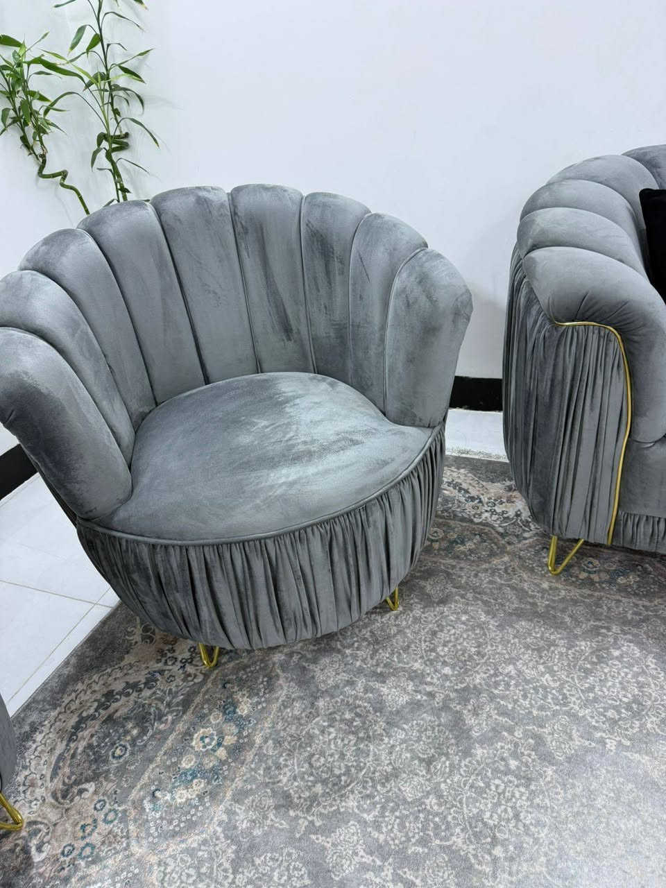 تخم تسكام 10 مقاعد للبيع السعر 850الف وبي مجال كربلاء حي الحر


**إذا كنت صاحب هذا الإعلان وتريد حذفه لأي سبب، رجاءا أرسل رسالة إلى الدعم الفني**