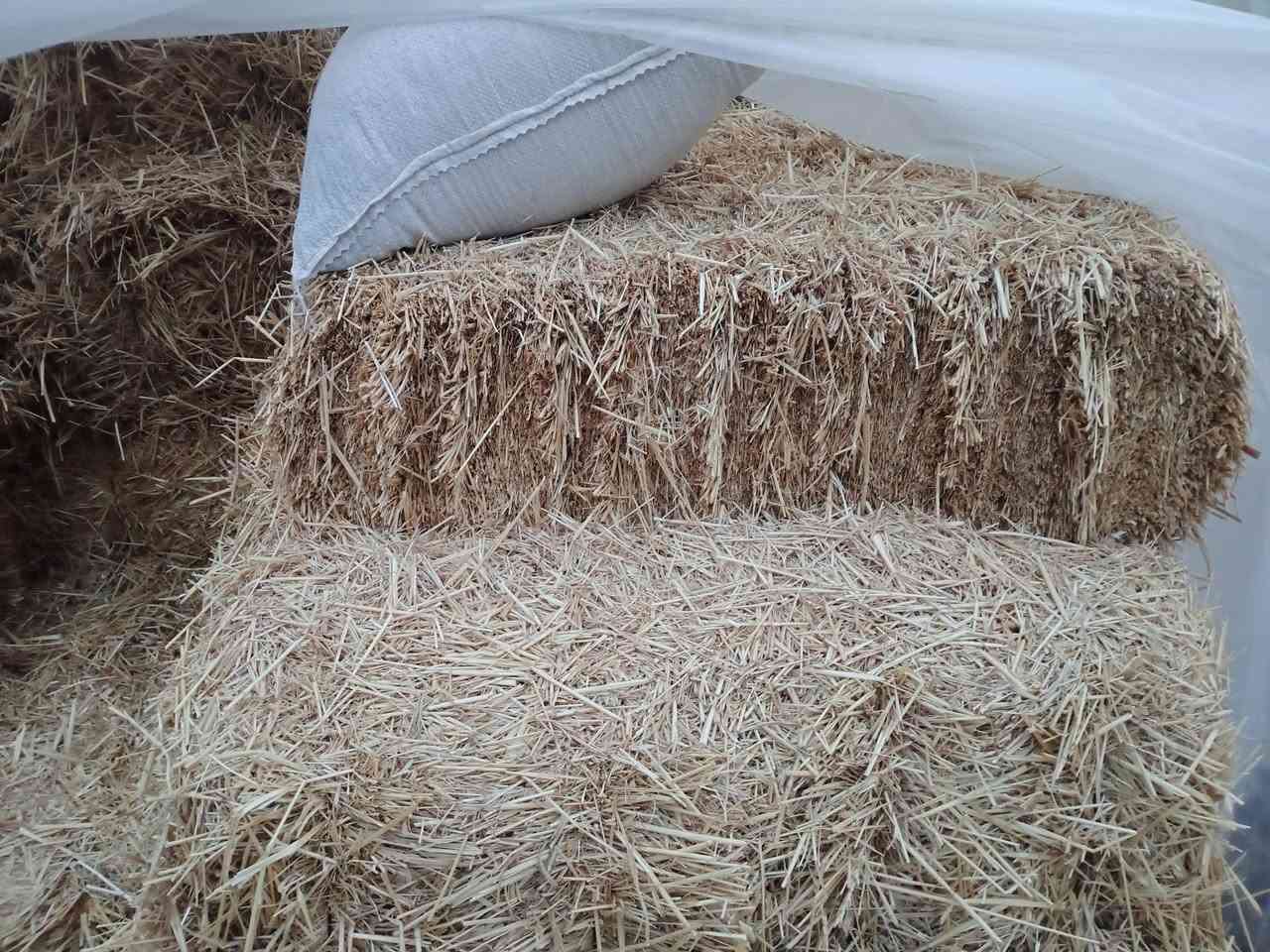 السلام عليكم ورحمه الله وبركاته 
يوجد تبن حنطة (كبسات)  
طول الكبسه (1متر )
سعر الكبسة ( 2500)
المكان :جبله فرع الامام 
***********
