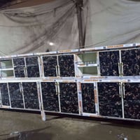 مترين علرقم 07728431149