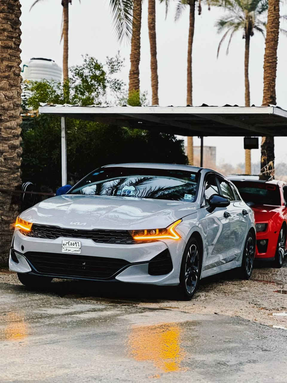 سلام عليكم كي فايف دخول جديد صارله شهر من دخلت موديل 2024 ماشيه 43 ميل محرك 1600 تيربو كير 8 نمر فول موصفات ما عده الفتحه ضربته نص جاملغ ومبدل بدون ايرباك بدون ضربه قويه خفيفه كلش السياره جديد كلش رقم كربلاء باقي بس على استلام الوحات السعر 192 وبيه مجال حك الجيه للستفسار اتصال برقم *********** مكان السياره كربلاء
