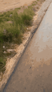 نص دونم البيع الوجه 16 والنزال 82  العنوان السلاميات شارع ابو زهير الس...