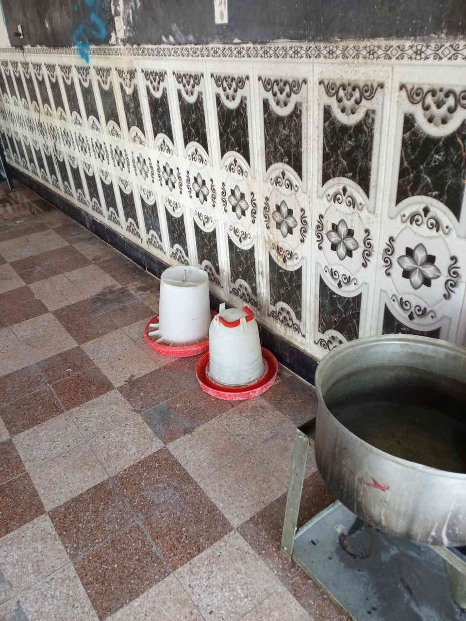 السلام عليكم غراض مال دجاج لبيع المكان فلوجه يم شارع السد السعر 625بيهن مجال لطيبيبن ***********
