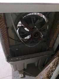 موبرده