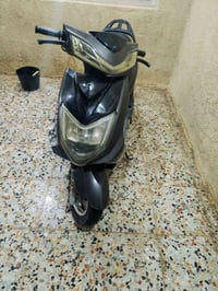 سكنس كوري • فطر بالكفر الأمامي • الكوت