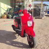 بوليس • ٢٠٢٥ • دشبول الكتروني