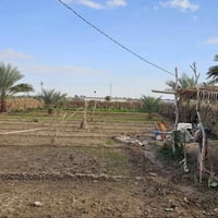 نص دونم • واجهة ٢٠م • كربلاء الجذار