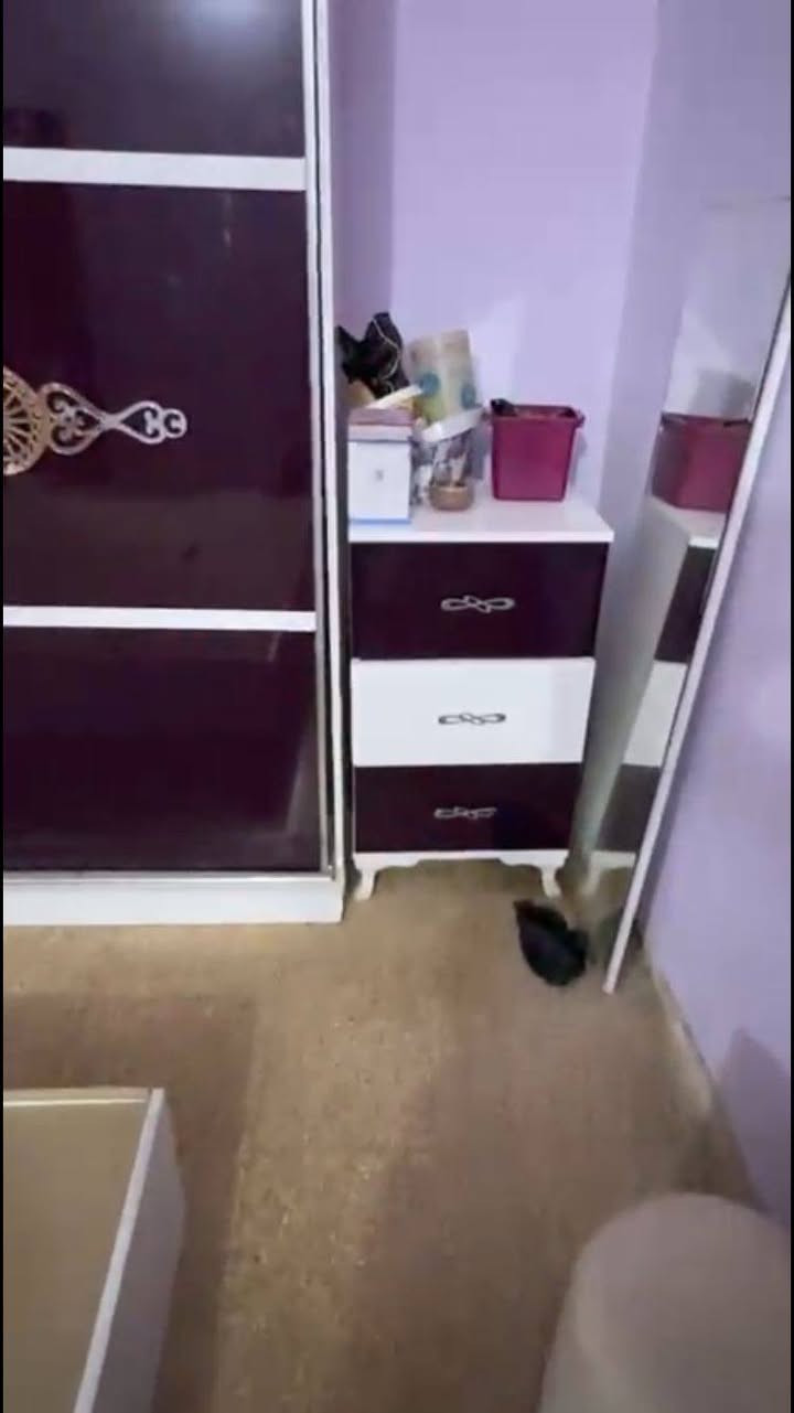 غرف تركيه كلش نظيفات 
وحده ب 550
الثانيه 375
العنوان ناصرية الاسكان الصناعي


**إذا كنت صاحب هذا الإعلان وتريد حذفه لأي سبب، رجاءا أرسل رسالة إلى الدعم الفني**