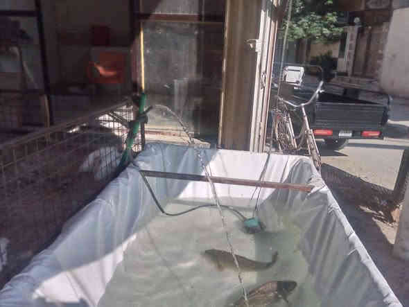 محل للبيع في تقاطع الجاير وشارع ابو طالب محل دجاج وسمك السعر مليون ونص التواصل عله الرقم ***********
