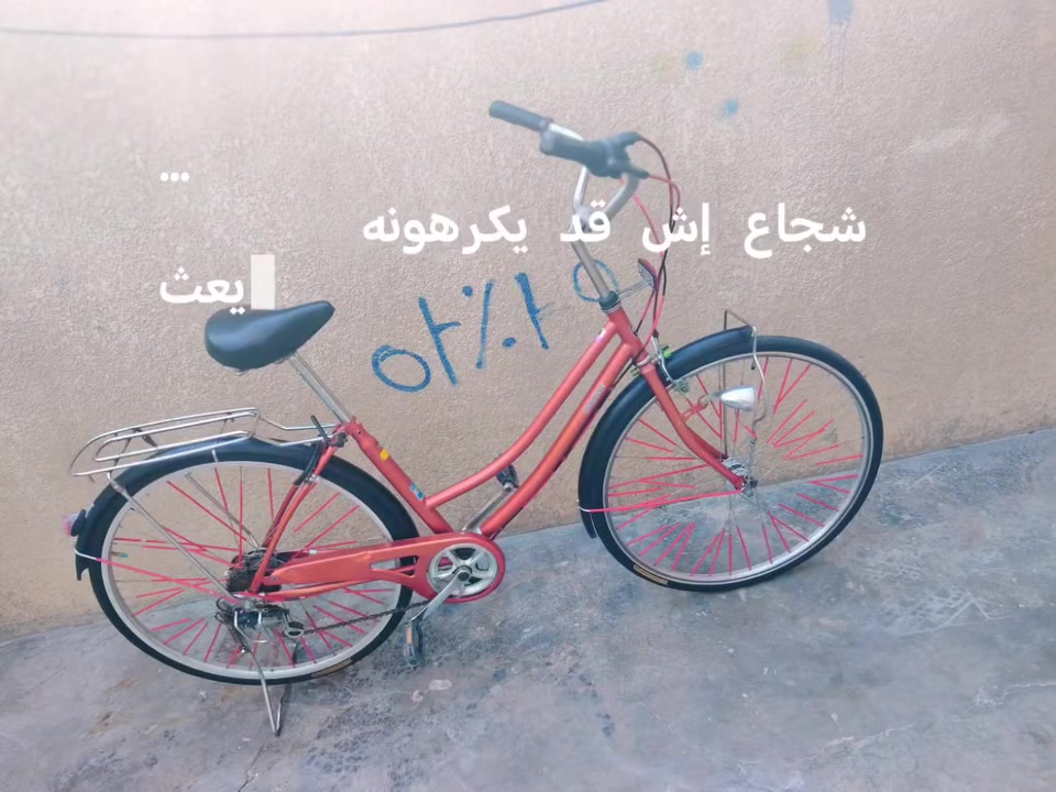 السعر 150 ديالى حي الشهداء 🍊🍊 الحجم 27 2018


**إذا كنت صاحب هذا الإعلان وتريد حذفه لأي سبب، رجاءا أرسل رسالة إلى الدعم الفني**