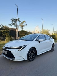 كورلا شكل الامريكي هايبرد وارد صيني   رقم بغداد باسمي هزه وسنويه وارقا...