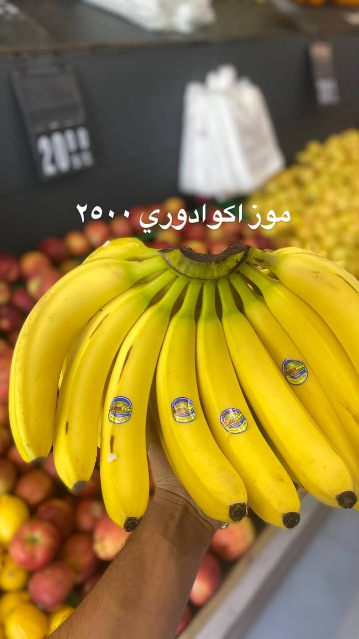 قسم الخضروات


**إذا كنت صاحب هذا الإعلان وتريد حذفه لأي سبب، رجاءا أرسل رسالة إلى الدعم الفني**