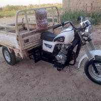 ستوته • كهربايات شغاله • مكينه خير