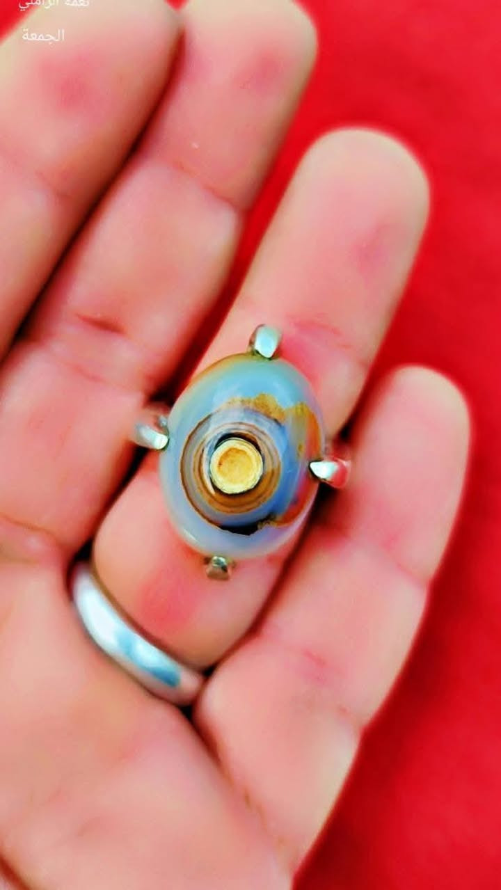 الجميله للبيع


**إذا كنت صاحب هذا الإعلان وتريد حذفه لأي سبب، رجاءا أرسل رسالة إلى الدعم الفني**