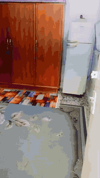 بيت قاطين قطاع 80 مقابل قطاع 75 بيت نظيف جيب غراظك وكعد مساحه90 رقم ال...