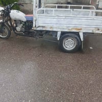 ستوته • كلار • شغال