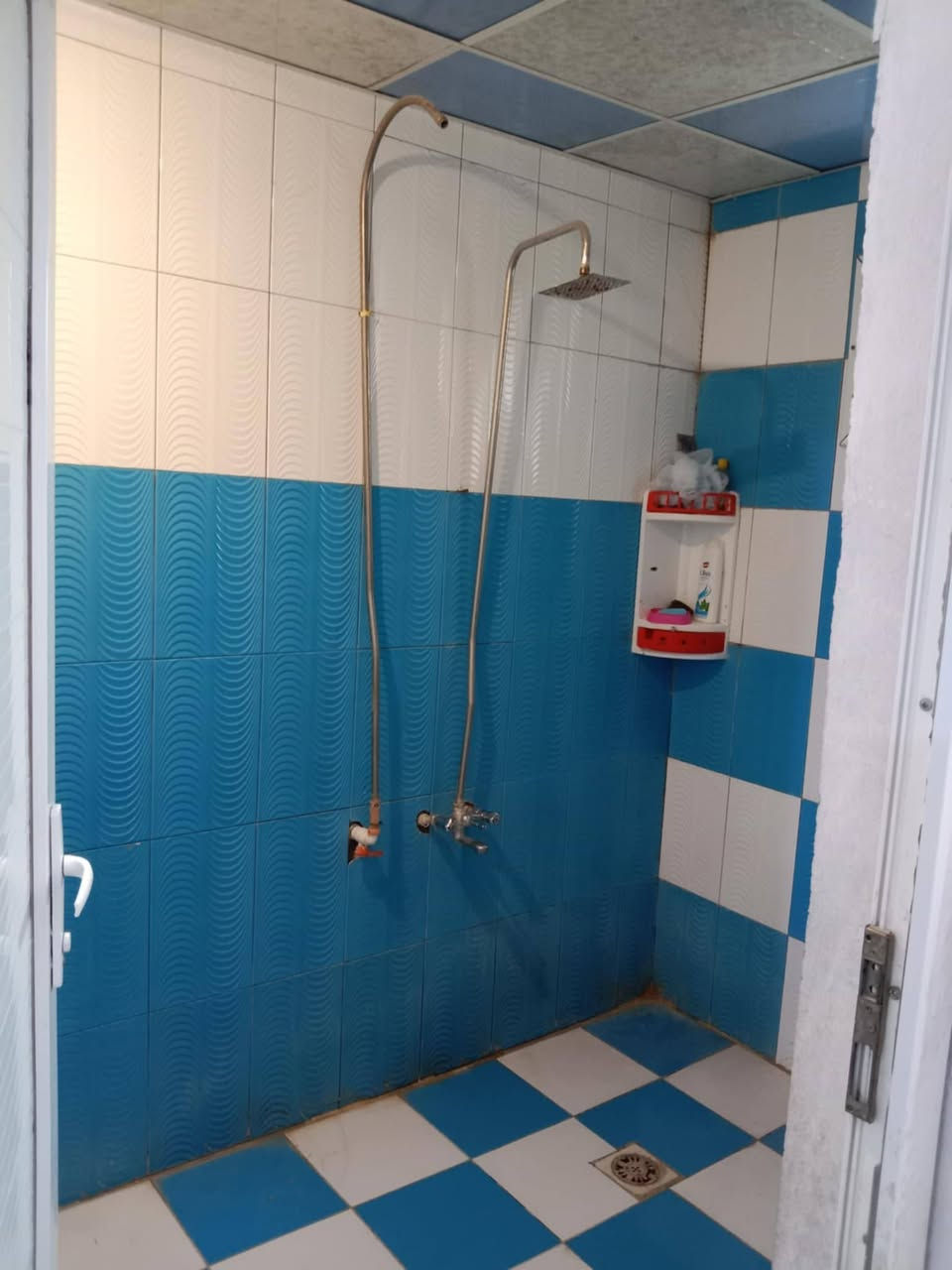 الفلوجه بيت في الجريف الثاني صاد على حي العسكري شارع مبلط 11 شارع مساحه البيت 195 البيت كافي البيت ثانوي طابق واحد بيت حيل مرتب كل شيء كامل بيه ما عدا الطرمه ما مطبقه السعر 115 مليون في مجال بسيط درهم مراوح رقم الهاتف***********
