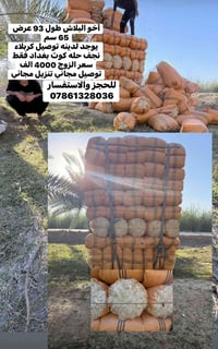 رخصة • صاحب الكروب • بغداد