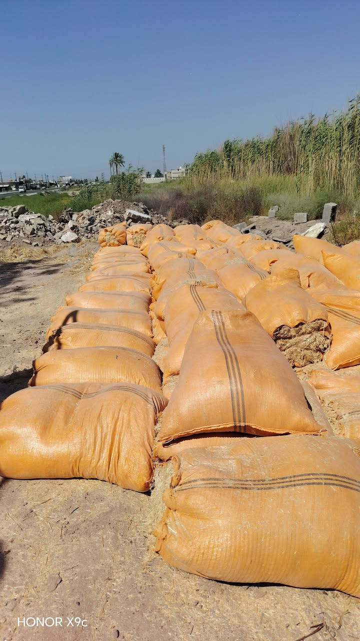 سلام عليكم لؤل مره في اليوسفية تبن درجه أول شليف الحجم الكبير عرض 90الطول 120مستعدون تجهيز المحلات فرعيه جمله  ومفردسلام عليكم لؤل مره في اليوسفية تبن درجه أول شليف الحجم الكبير عرض 90الطول 120مستعدون تجهيز المحلات فرعيه جمله  ومفرد
سلام عليكم لؤل مره في اليوسفية تبن درجه أول شليف الحجم الكبير عرض 90الطول 120مستعدون تجهيز المحلات فرعيه جمله  ومفردسلام عليكم لؤل مره في اليوسفية تبن درجه أول شليف الحجم الكبير عرض 90الطول 120مستعدون تجهيز المحلات فرعيه جمله  ومفرد
سعر زوج8.500 جمله يدلل
للإستفسار الاتصال على *********** أو واساب
 عنوان اليوسفية حي شهداء 
من رخصت امن
