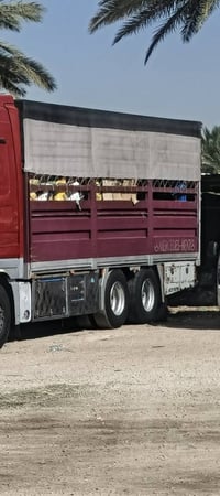 بدي وربي اصفاح جرف وباب وشبجه كاعده حديد مروجه ياخذ سبعات الزبير بريص ...