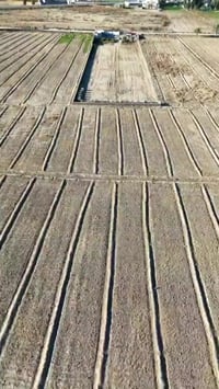 الرمادي • دونم ٢٥٠٠م • طريق الجرايشي