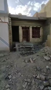 زيتون • ٦٥م • هيكل