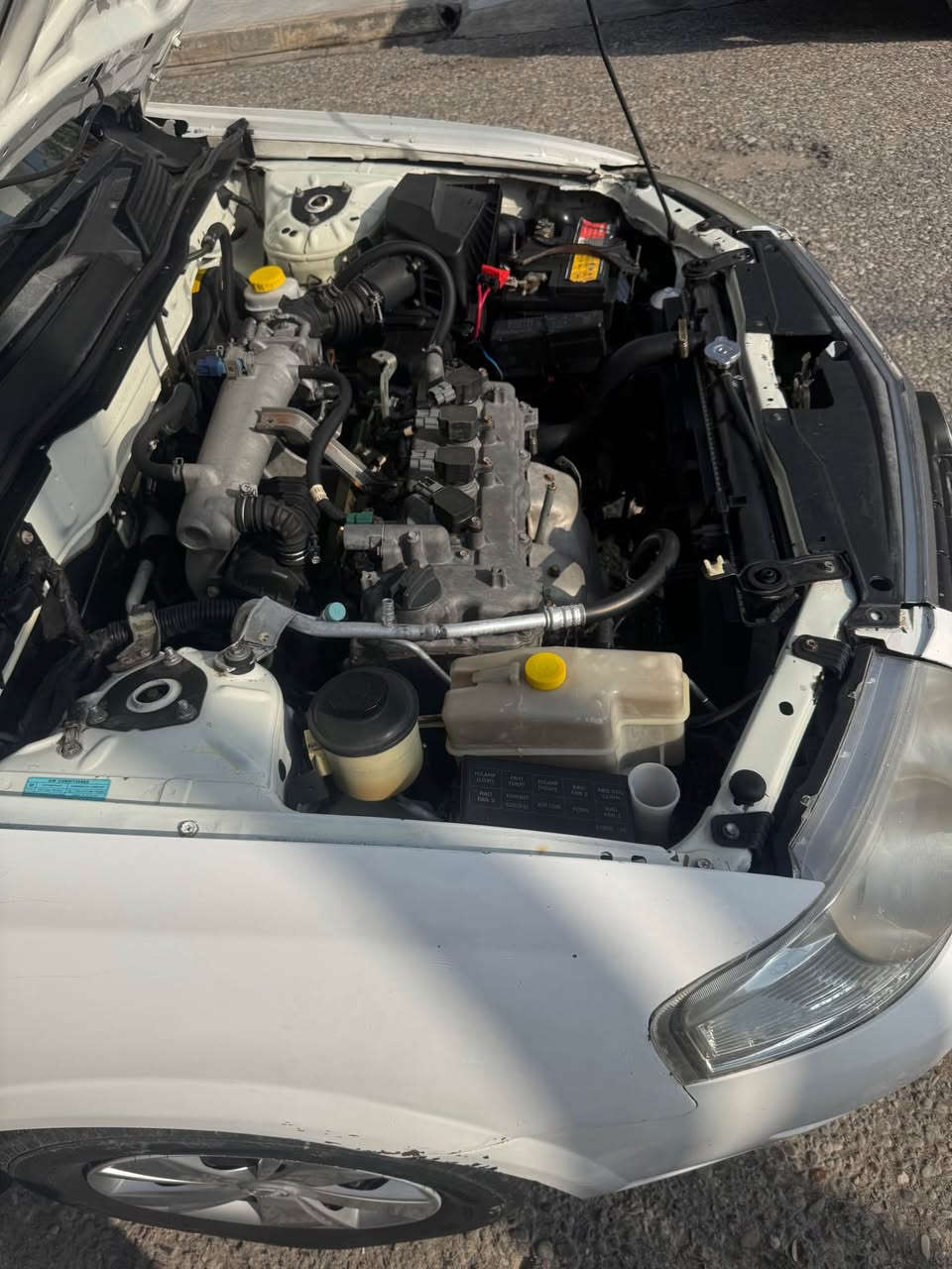 نيسان صني موديل 2007. قطتين سبوغ جملغ بونيت سنويه جديد 2029 شرط تحويل غرامه. شرط كير محرك. سياره مال بيت عنوان كركوك شوراو.   سعر. 84 بياماجل

***********.  واتساب بي كركوك, العراق
