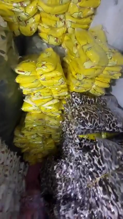 دشداشة نسائي صيفية باردة
قماش زبدة نوع أول
مقاس استندر كبير
رابط التليجرام 👇
https://t.me/mirakid
للزبائن المهتمين التواصل على الواتس اب اضغط على الرابط التالي 👇🏻👇🏻👇🏻
https://wa.me/905318240963
https://wa.me/905363943491


**إذا كنت صاحب هذا الإعلان وتريد حذفه لأي سبب، رجاءا أرسل رسالة إلى الدعم الفني**