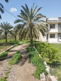 يوجد دونمين ونص طابو ملك صرف المكان المدائن جسرديالى التويثة  الاستفسا...