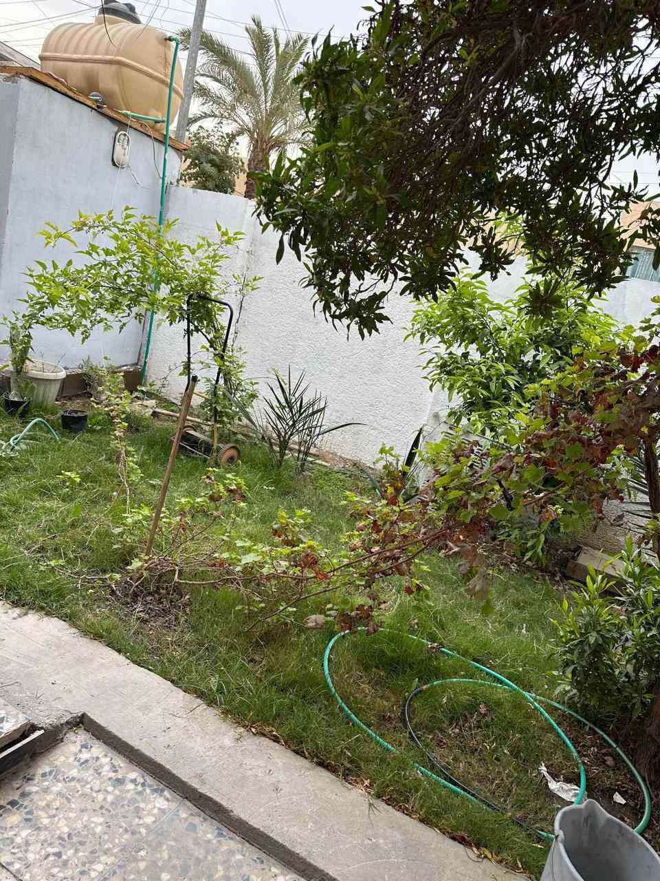 دار للبيع 200 متر طابق و نص تجاوز
العنوان الزعفرانيه  يحتوي ع 4 غرف نوم  استقبال مطبخ حار مطبخ بارد صحيات فوك و جوه و خارجيه و مخزن و ترك  و كراج كبير و حديقه بيت خير من الله  السعر خاص او اتصل ***********
