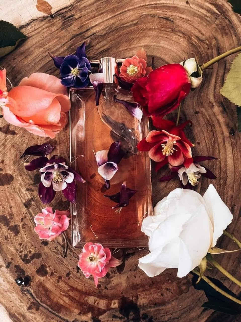 عطر لانكوم أيدول 😍
من اصدارات بيت الأزياء الفرنسي الشهير لانكوم 💯
يتمتع عطر أيدول لانكوم بثبات وفوحان قويين
عطر لانكوم ايدول النسائي انثوي ، رقيق ، زهري ♥️
صنع في فرنسا يحتوي على باركود 💯
متوفر توصيل.


**إذا كنت صاحب هذا الإعلان وتريد حذفه لأي سبب، رجاءا أرسل رسالة إلى الدعم الفني**