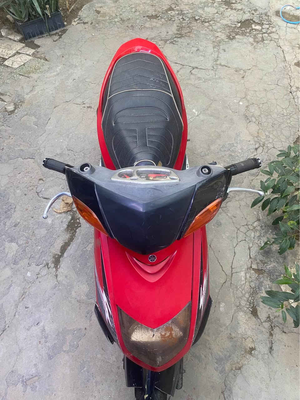 السلام عليكم دراجه سكنس نثيه مكينه مكفوله بيها بس الكفرات مثل ما موضح بصوره نظافتهن بغداد, العراق


**إذا كنت صاحب هذا الإعلان وتريد حذفه لأي سبب، رجاءا أرسل رسالة إلى الدعم الفني**