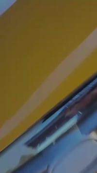 النترا • ٢٠١٠ • وارد أمريكي