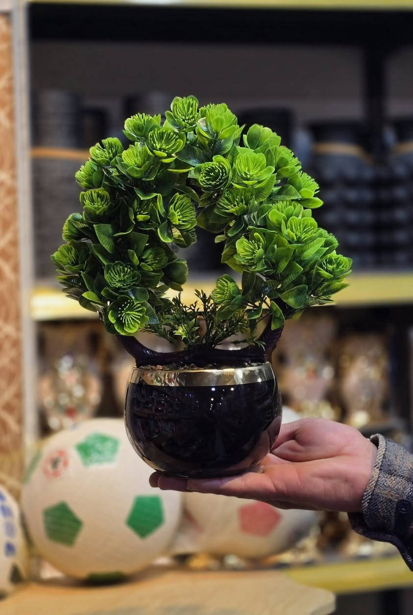 تشكيلة متنوعة من قسم الهداية💫👌
الأسعار والتفاصيل تحت كل صورة🔥👇
✨جوائز كومه بانتظاركم 🎁🔥بس للمتفاعلين الأقوياء 😉خلي تفاعلك يوصّل اسمك ضمن الفايزين 🎉
📱تابعونا على إنستا:https://www.instagram.com/wh7.ce?igsh=ZHJsMnRmbDdpYXp2
📍 العنوان: موصل / أسواق 17 تموز، مقابل جامع بركة الرحمن
يتوفر خدمة توصيل لجانبي المدينة 
3.000 الجانب الايمن 
4.000 الجانب الايسر
📞 للحجز والاستفسار:
كورك: ***********✅واتساب
آسيا: *********** ✴️اتصال
