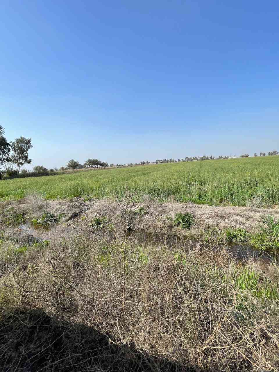 السلام عليكم
تتوفر عدنا دوانم  تصلح للاستثمار او المزارع  بمساحات متعدده وواجهات وابعاد مختلفة
موجوده كهرباء وماء اساله وخدمات كامله سكن ومدارس كلشي موجود منطقة كامله والاسعار تختلف من 25 مليون الى 65 مليون حسب موقع الارض 
مكان الاراضي في التاجي ذراع دجله 
للتواصل والاستفسار على الرقم التالي ***********
