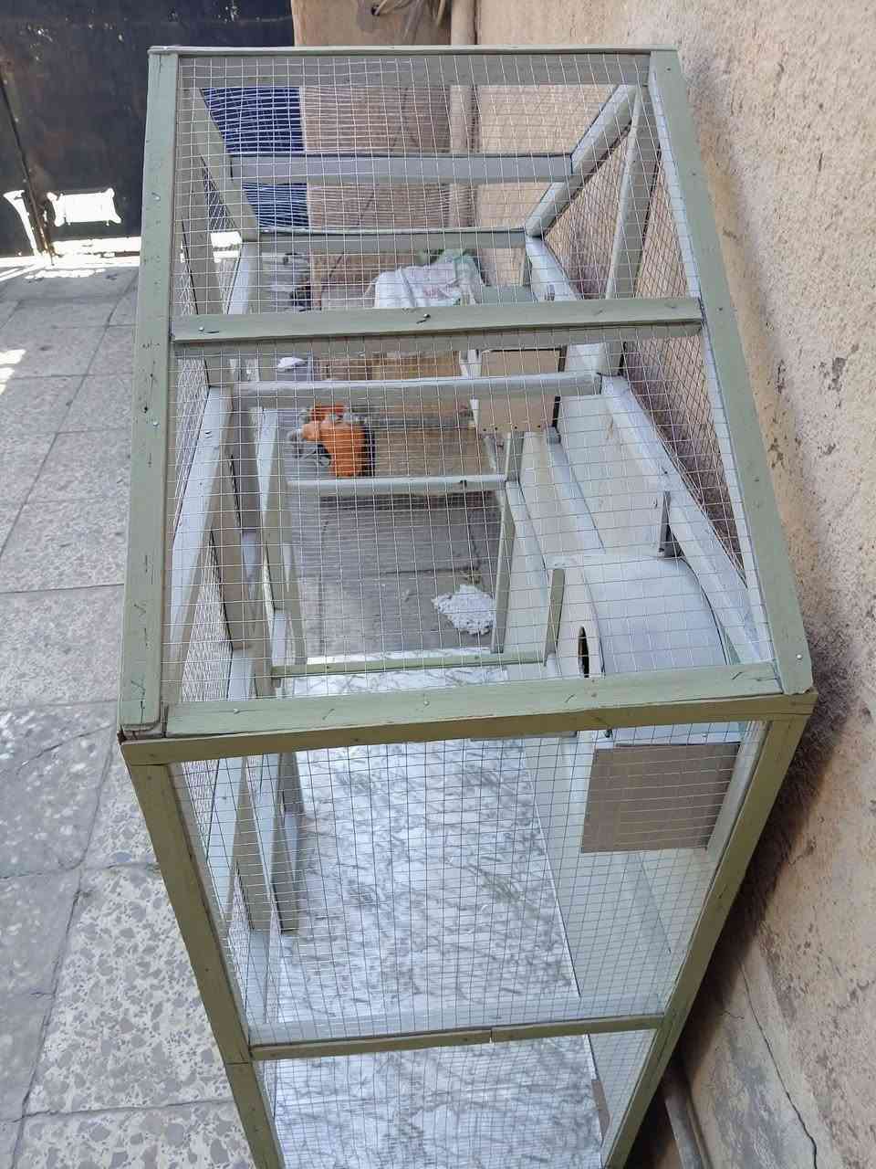 قفصص خشب جمالي سعره 15 ألف جاي اصفي البيت لكطة ميتعوض
ارتفاع 120سم
عرض متر. 
نزال 45 سم. 
الحجز عالواتساب  *********** 📝 متوفر توصيل داخل بغداد فقط
