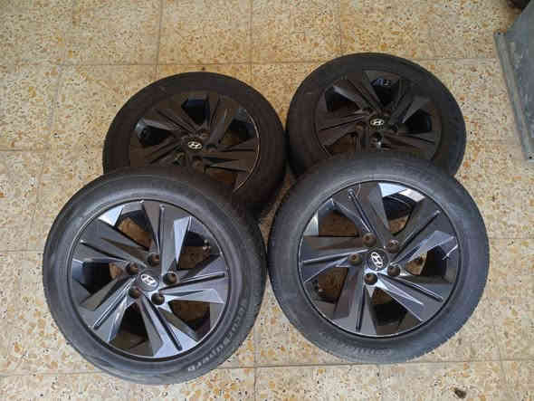 تخم ويل كب الانترة 23 أصلي شركة العنوان بغداد الشعلة ***********
***********
